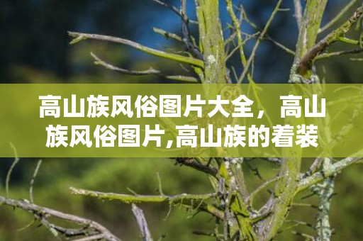 高山族风俗图片大全，高山族风俗图片,高山族的着装是什么