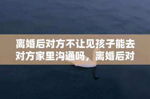 离婚后对方不让见孩子能去对方家里沟通吗，离婚后对方不让见孩子我该怎么办呀，离婚后男方不让见孩子怎么办呢