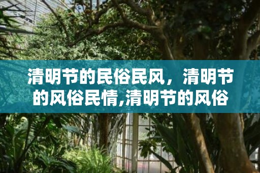 清明节的民俗民风，清明节的风俗民情,清明节的风俗