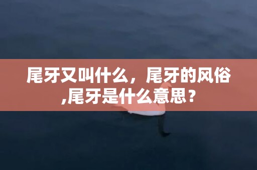 尾牙又叫什么，尾牙的风俗,尾牙是什么意思？