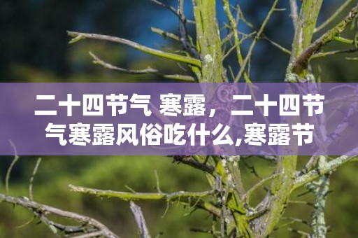 二十四节气 寒露，二十四节气寒露风俗吃什么,寒露节气吃什么