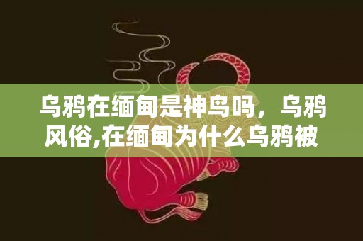 乌鸦在缅甸是神鸟吗，乌鸦风俗,在缅甸为什么乌鸦被奉为神鸟