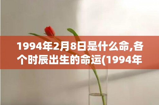 1994年2月8日是什么命,各个时辰出生的命运(1994年2月8号出生属于哪种命)