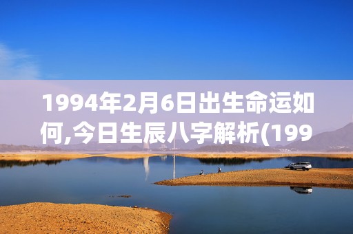 1994年2月6日出生命运如何,今日生辰八字解析(1994年2月6日)