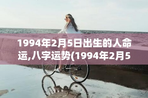 1994年2月5日出生的人命运,八字运势(1994年2月5日对应的农历)