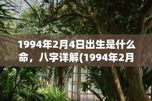 1994年2月4日出生是什么命，八字详解(1994年2月4日出生的人命运)