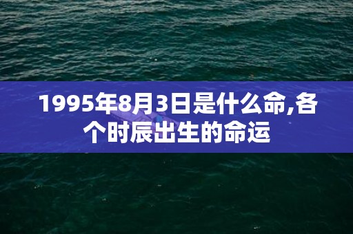 1995年8月3日是什么命,各个时辰出生的命运