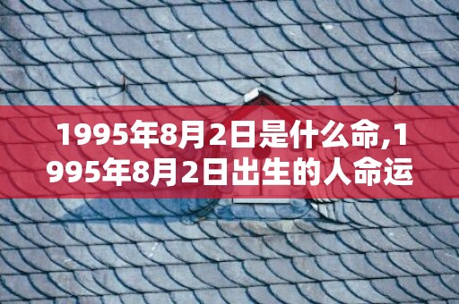 1995年8月2日是什么命,1995年8月2日出生的人命运