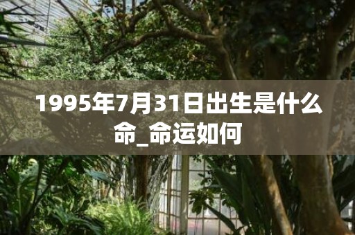 1995年7月31日出生是什么命_命运如何