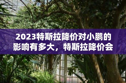 2023特斯拉降价对小鹏的影响有多大，特斯拉降价会影响小鹏降价吗