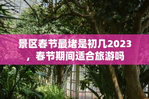 景区春节最堵是初几2023，春节期间适合旅游吗