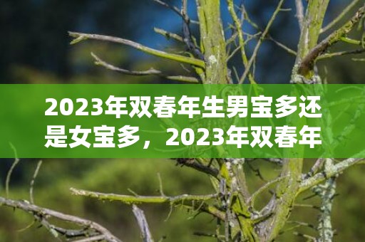 2023年双春年生男宝多还是女宝多，2023年双春年生孩子好不好