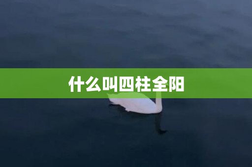 什么叫四柱全阳