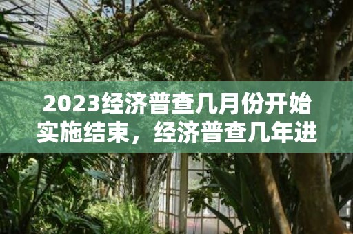 2023经济普查几月份开始实施结束，经济普查几年进行一次