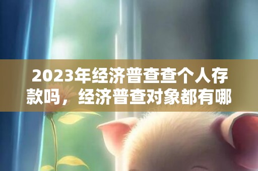 2023年经济普查查个人存款吗，经济普查对象都有哪些