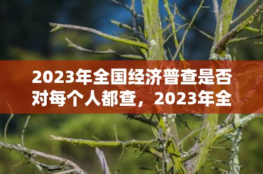 2023年全国经济普查是否对每个人都查，2023年全国经济普查会上门吗