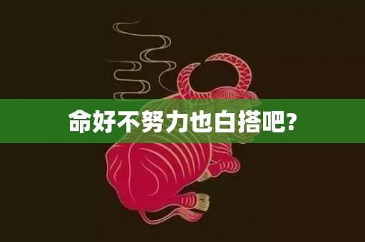 命好不努力也白搭吧?