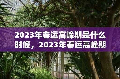 2023年春运高峰期是什么时候，2023年春运高峰期是哪几天