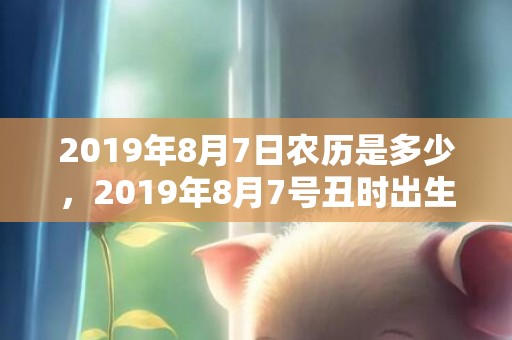 2019年8月7日农历是多少，2019年8月7号丑时出生的男孩怎么起名字，五行属什么