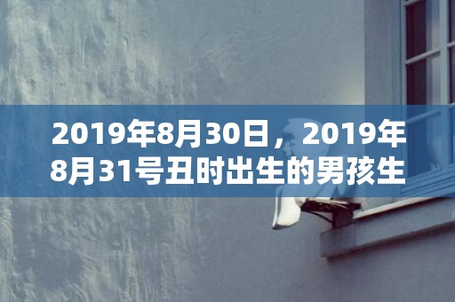 2019年8月30日，2019年8月31号丑时出生的男孩生辰八字是什么？