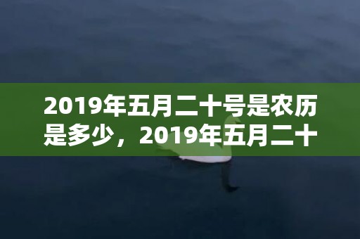 2019年五月二十号是农历是多少，2019年五月二十四出生的男孩如何起名字好，五行属什么