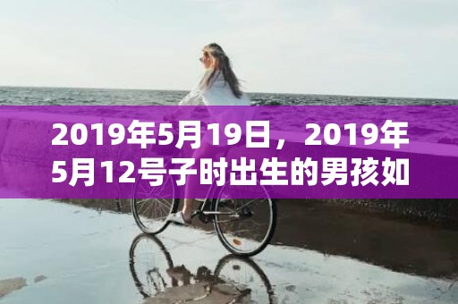 2019年5月19日，2019年5月12号子时出生的男孩如何起名