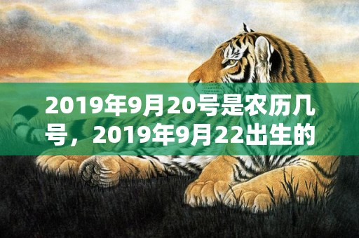 2019年9月20号是农历几号，2019年9月22出生的男宝宝五行缺金取名注意事项