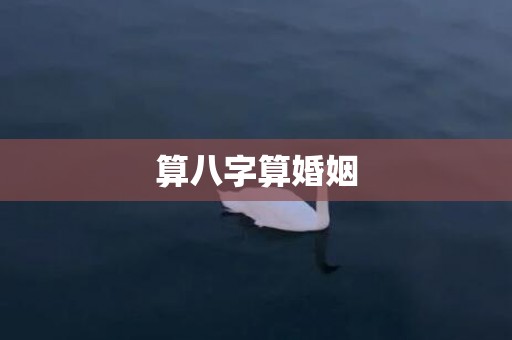 算八字算婚姻