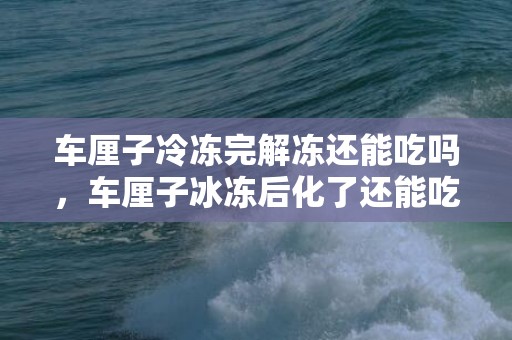 车厘子冷冻完解冻还能吃吗，车厘子冰冻后化了还能吃吗