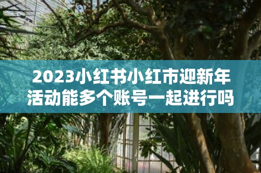 2023小红书小红市迎新年活动能多个账号一起进行吗，小红书小红市迎新年活动一人只能一个账号吗