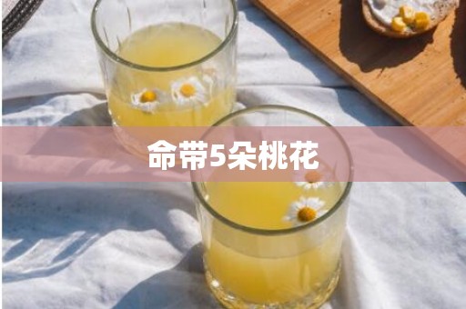 命带5朵桃花