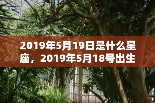 2019年5月19日是什么星座，2019年5月18号出生的双胞胎女孩如何起名好，五行属什么？