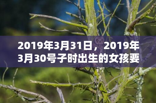 2019年3月31日，2019年3月30号子时出生的女孩要怎么起名字