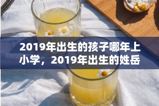 2019年出生的孩子哪年上小学，2019年出生的姓岳女孩如何起名，宜用什么字