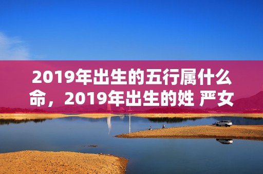 2019年出生的五行属什么命，2019年出生的姓 严女孩如何起名，宜用什么字