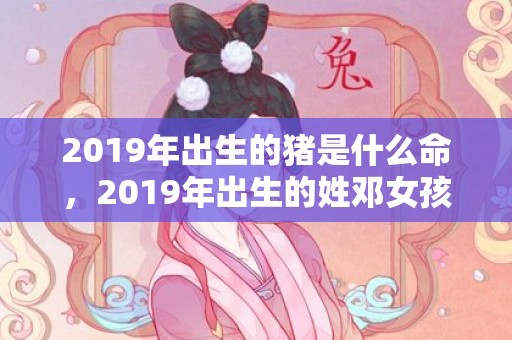 2019年出生的猪是什么命，2019年出生的姓邓女孩如何起名，宜用什么字