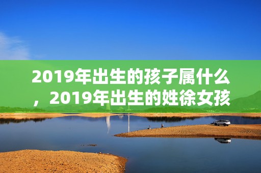 2019年出生的孩子属什么，2019年出生的姓徐女孩如何起名，宜用什么字