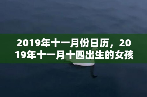 2019年十一月份日历，2019年十一月十四出生的女孩如何起名字，五行属什么