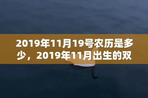 2019年11月19号农历是多少，2019年11月出生的双胞胎女孩起什么名字吉祥，不适合用哪些字