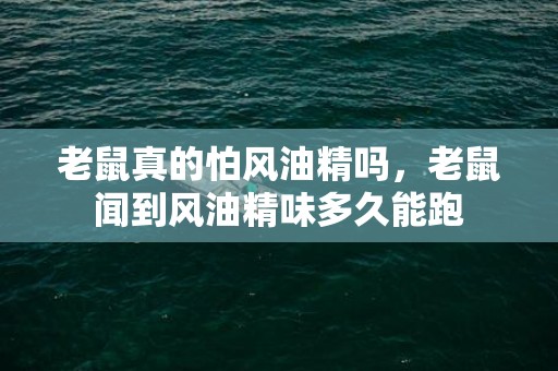 老鼠真的怕风油精吗，老鼠闻到风油精味多久能跑