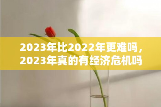 2023年比2022年更难吗，2023年真的有经济危机吗