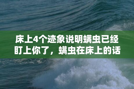 床上4个迹象说明螨虫已经盯上你了，螨虫在床上的话会是怎么样子的