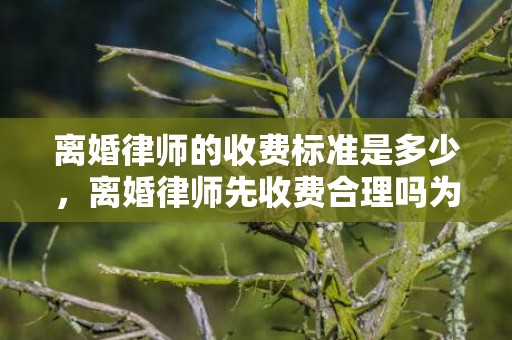 离婚律师的收费标准是多少，离婚律师先收费合理吗为什么呢 请律师打官司如何收费