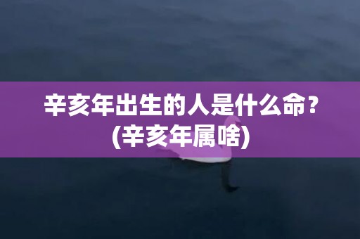 辛亥年出生的人是什么命？(辛亥年属啥)