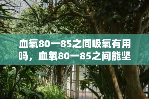 血氧80一85之间吸氧有用吗，血氧80一85之间能坚持多久