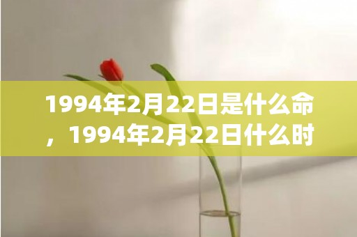 1994年2月22日是什么命，1994年2月22日什么时辰八字命好(1994年2月24日农历是多少)