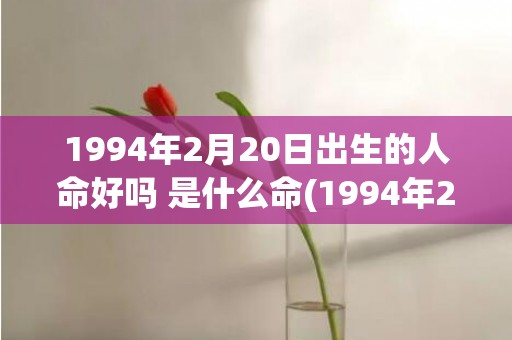 1994年2月20日出生的人命好吗 是什么命(1994年2月2号农历是多少)