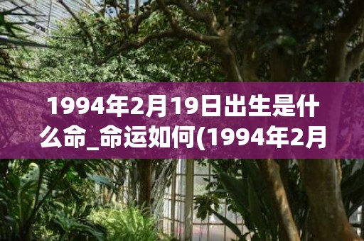 1994年2月19日出生是什么命_命运如何(1994年2月10日生辰八字)