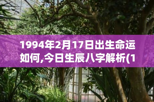 1994年2月17日出生命运如何,今日生辰八字解析(1994年2月12号是什么星座)