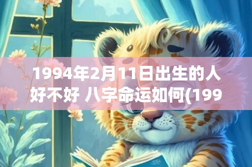 1994年2月11日出生的人好不好 八字命运如何(1994年2月13日)